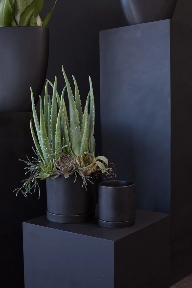 Romey Pot 7"x 7" Set Of 4 By Accent Decor - Image 3