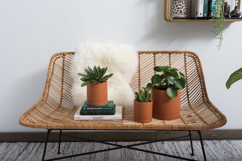 Romey Pot 7"x 7" Set Of 4 By Accent Decor - Image 9