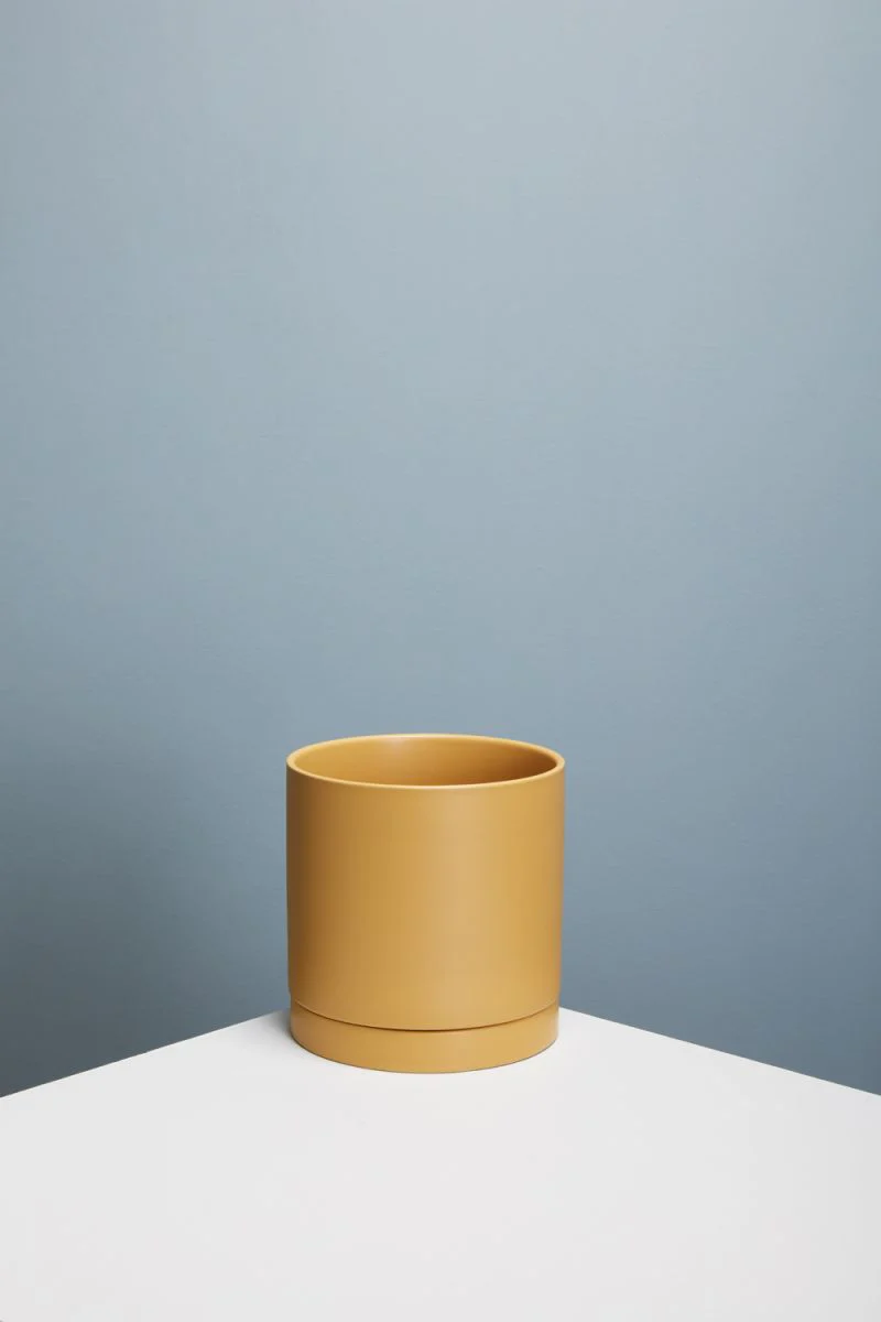 Romey Pot 8"x 8" Set Of 4 By Accent Decor - Image 10