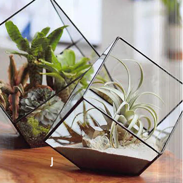 Roost Cubist Terrariums - Image 4
