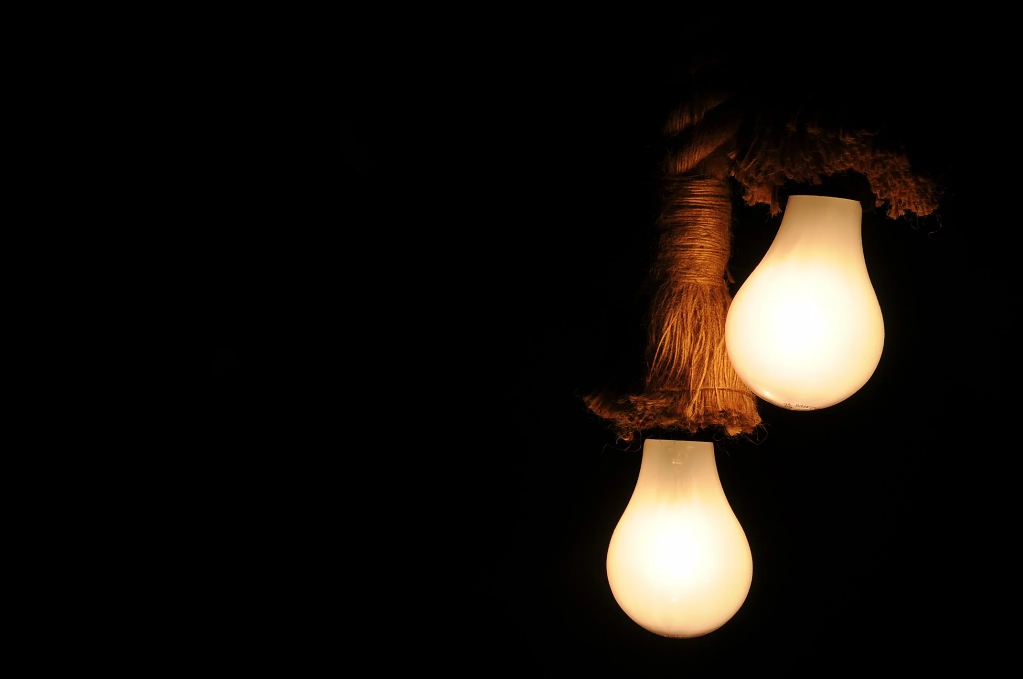 Rope Two Bulbs Pendant Lamp By Homeroots - Image 4
