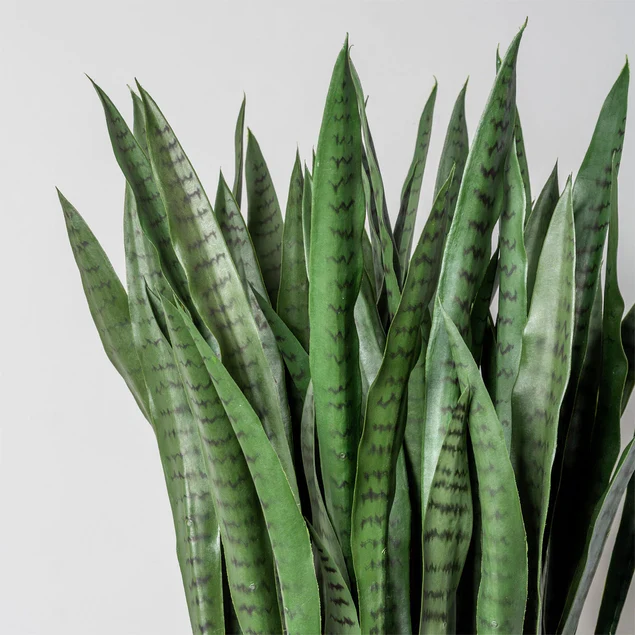 Sansevieria In Kawa Planter, Granite White, Value Engineered By Gold Leaf Design Group - Image 5