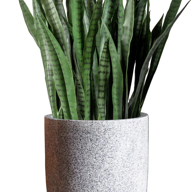 Sansevieria In Kawa Planter, Granite White, Value Engineered By Gold Leaf Design Group - Image 6