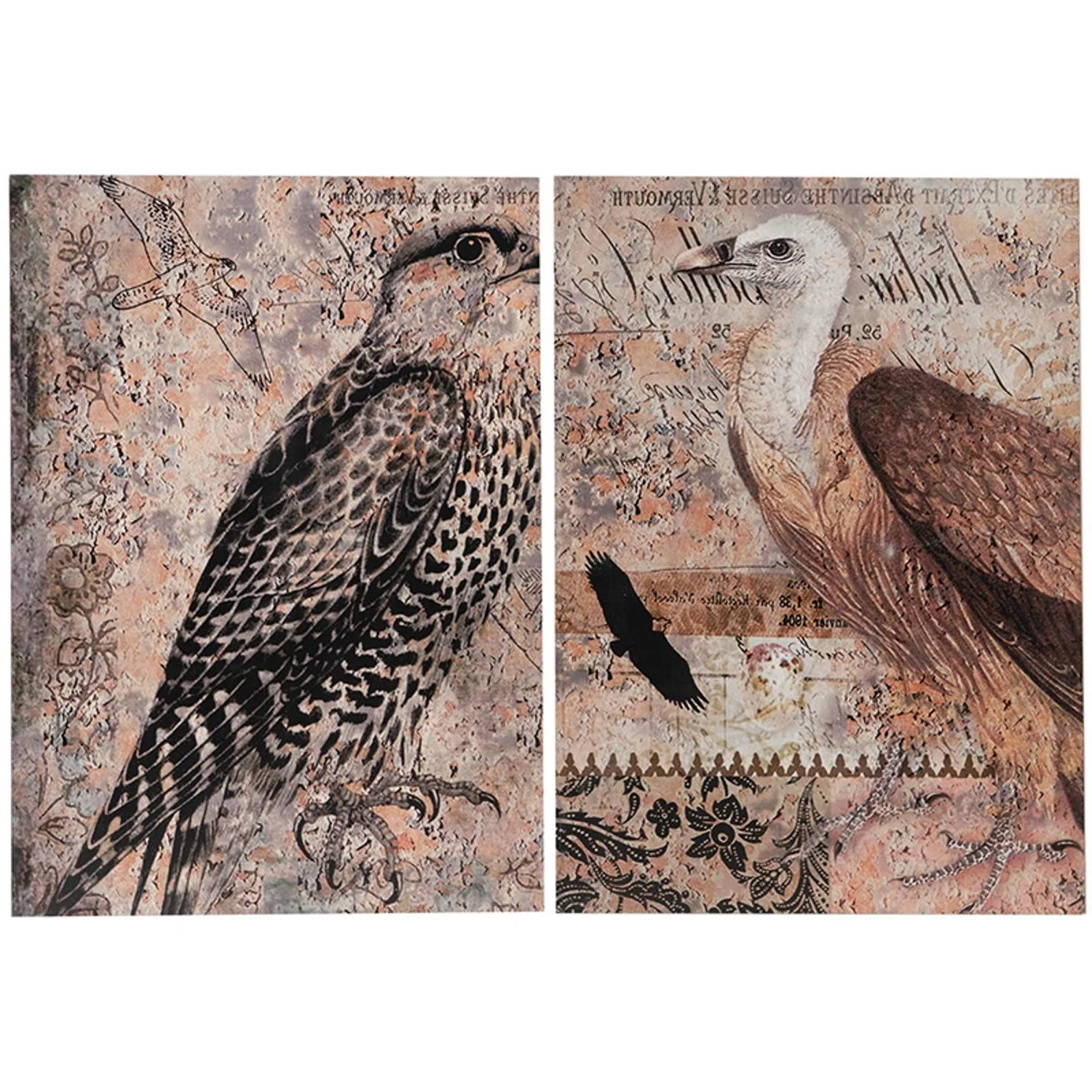 Set of 2 Antique Post Card Birds Wall Art By Homeroots - Image 3