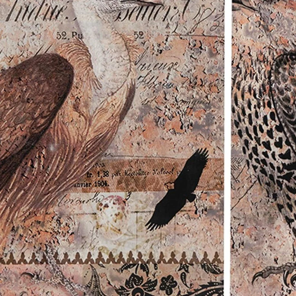 Set of 2 Antique Post Card Birds Wall Art By Homeroots - Image 5