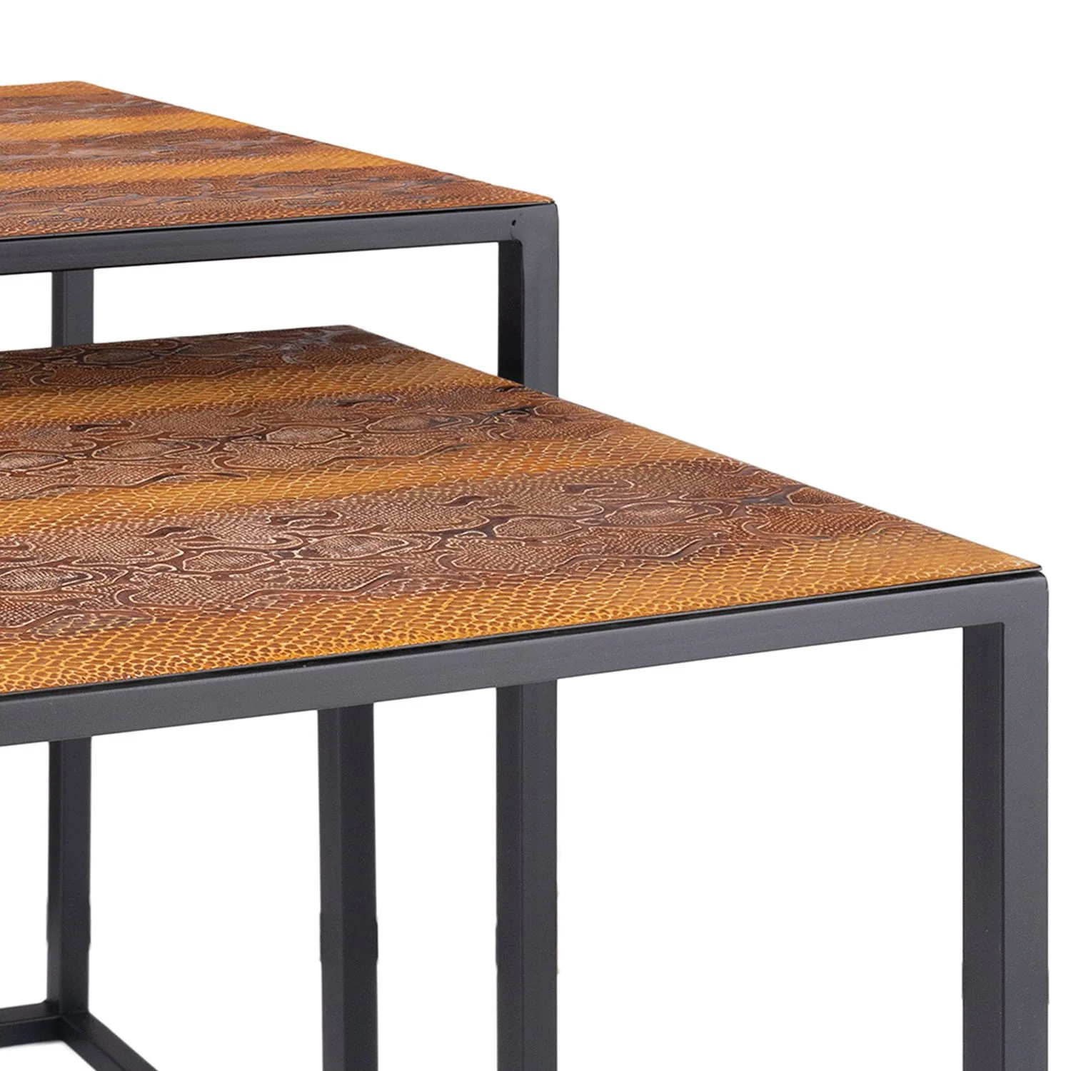 Set Of 2 Rectangular Black Powder Coated Frame and Rattlesnake Faux Leather Top Nesting End Tables By Homeroots - Image 3
