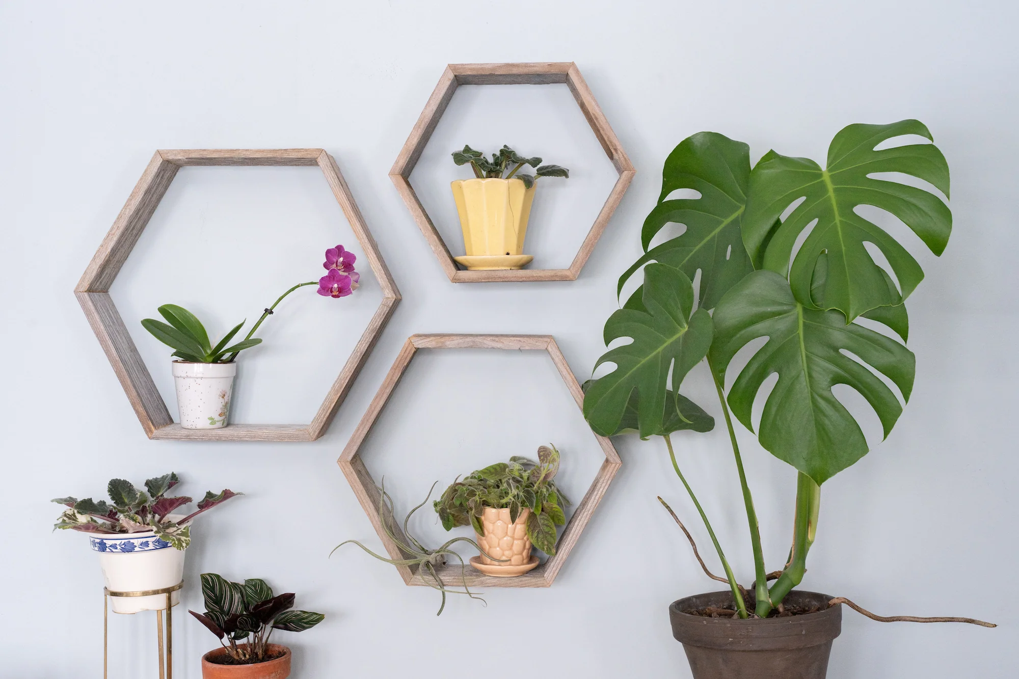 Set of 3 Hexagon Rustic Natural Weathered Grey Wood Open Box Shelve By Homeroots - Image 3