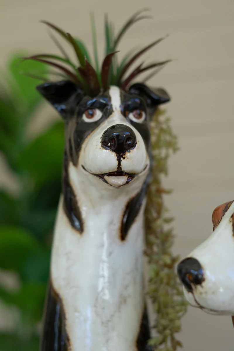 Set Of Two Ceramic Dog Planters By Kalalou - Image 2