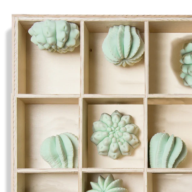 Shadow Box w/Cactus Wall Play, By Gold Leaf Design Group - Image 2