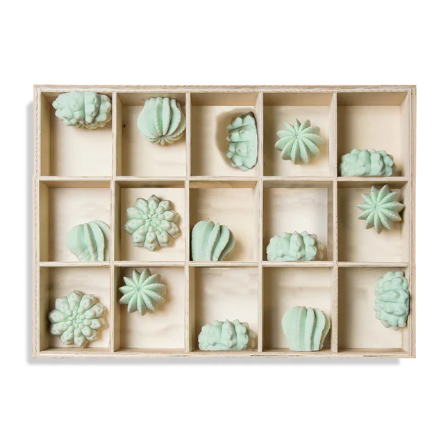 Shadow Box w/Cactus Wall Play, By Gold Leaf Design Group - Image 3