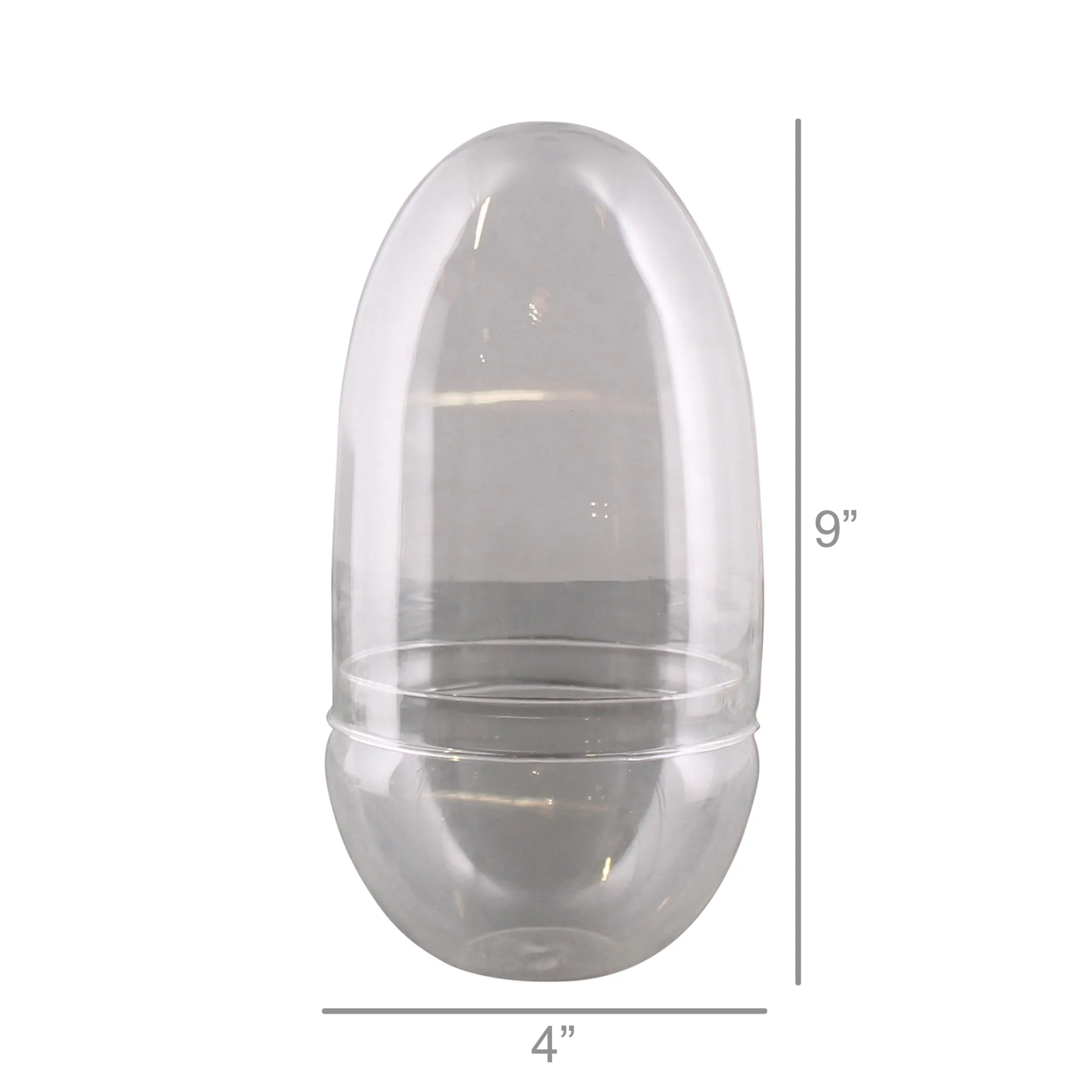 Sole Terrarium, Glass - Oval, Large Set Of 2 By HomArt - Image 4