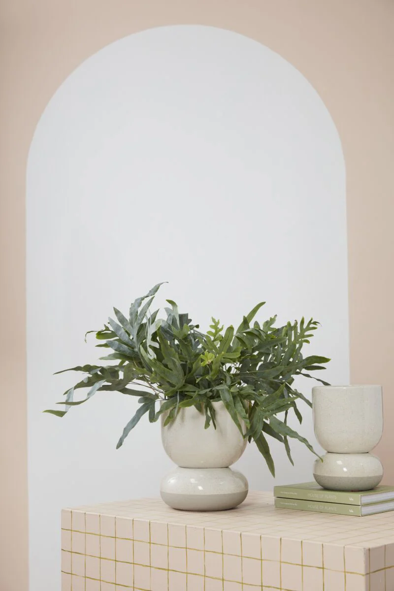 Tartu Pot with Saucer 8.75"x 10.75" By Accent Decor - Image 4