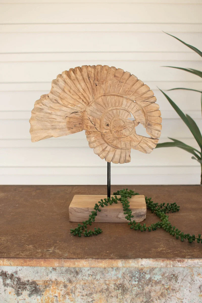 Teak Nautilus Shell On A Stand By Kalalou - Image 3