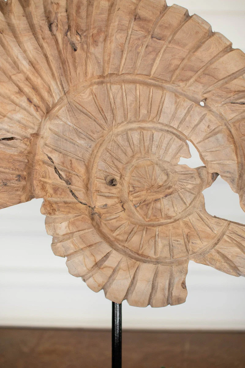 Teak Nautilus Shell On A Stand By Kalalou - Image 4