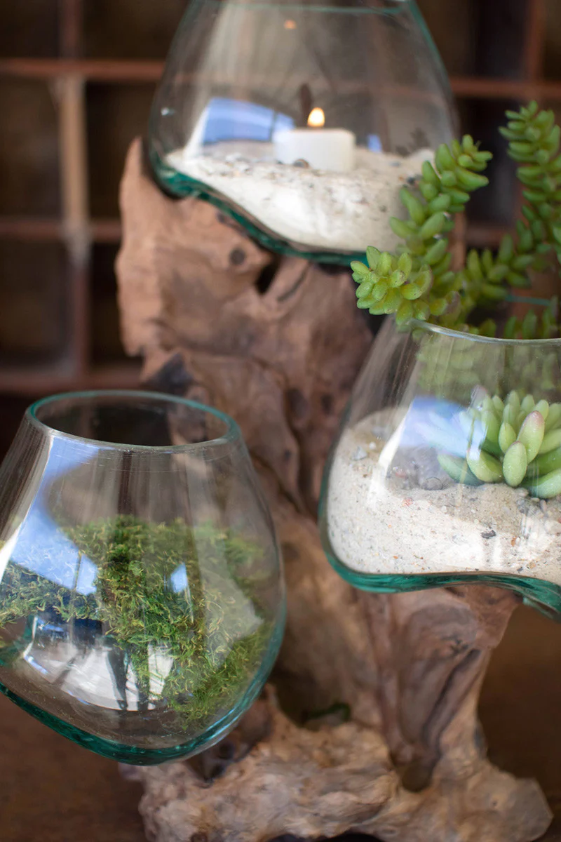 Three Blown Glass Bowls On A Driftwood Base By Kalalou - Image 3