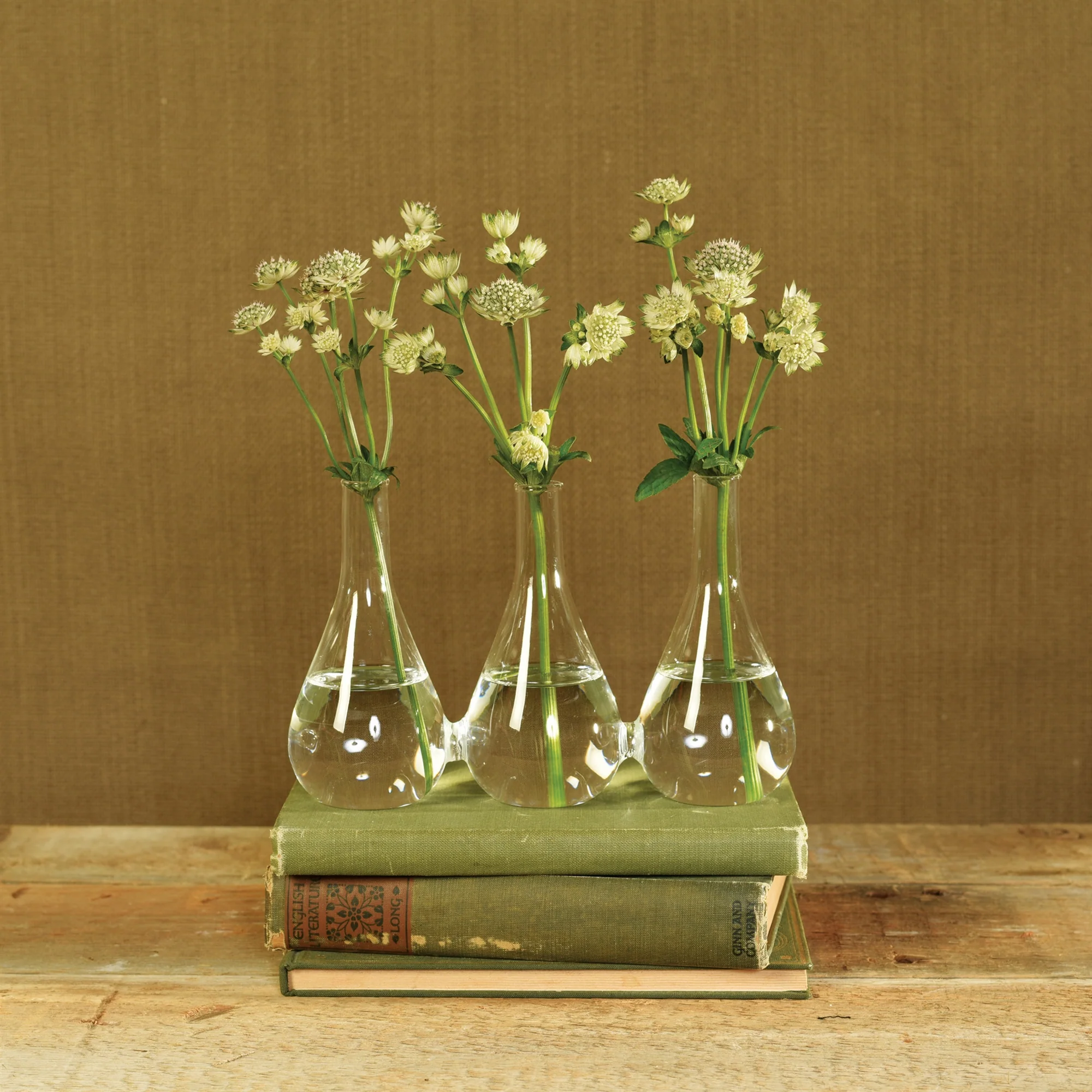 Trio Glass Vase Set Of 2 By HomArt - Image 2