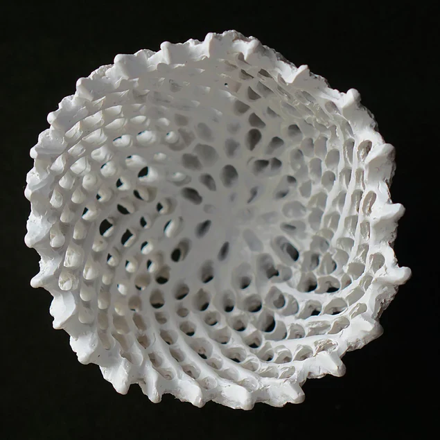 Wall Play Lace, Outdoor Cream/ Set Of 8 By Gold Leaf Design Group - Image 3